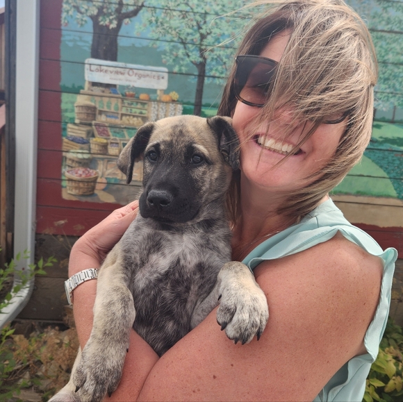 Meet your Posher, Miriam - Picture 2 of 3